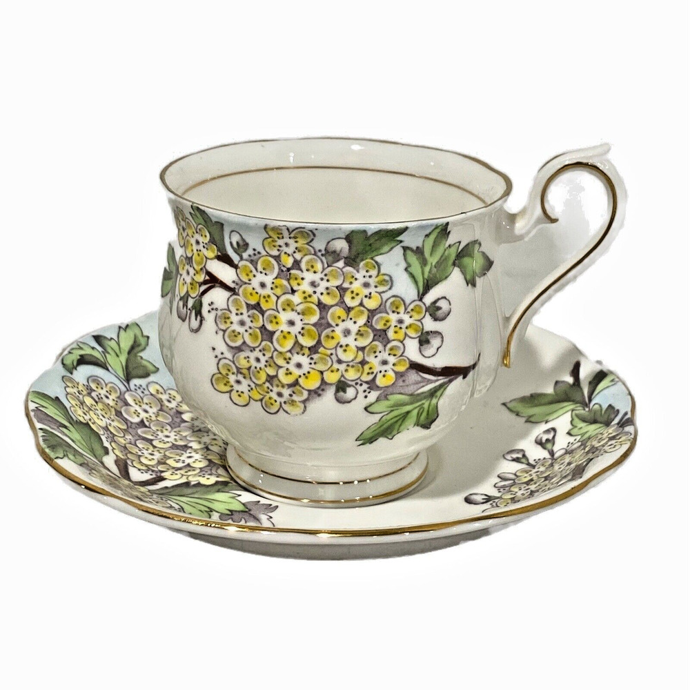 Royal Albert Teacup & Saucer Set England Flower of the Month Hawthorn Bone China